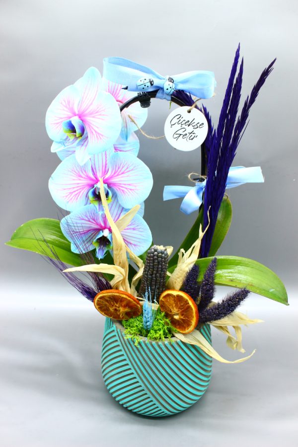 style blue orchid