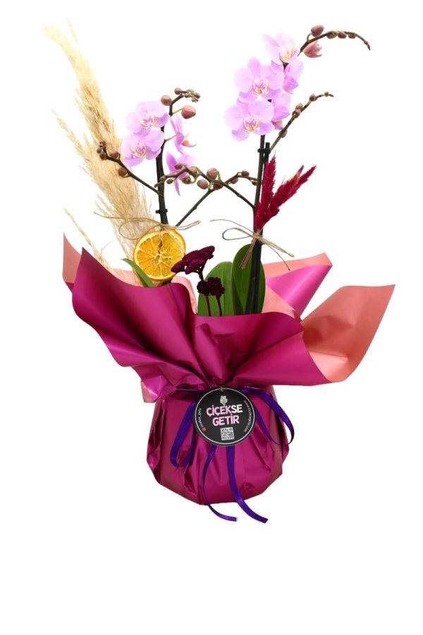 1054=Midi Soft Purple Orchid Gift (Orkide)