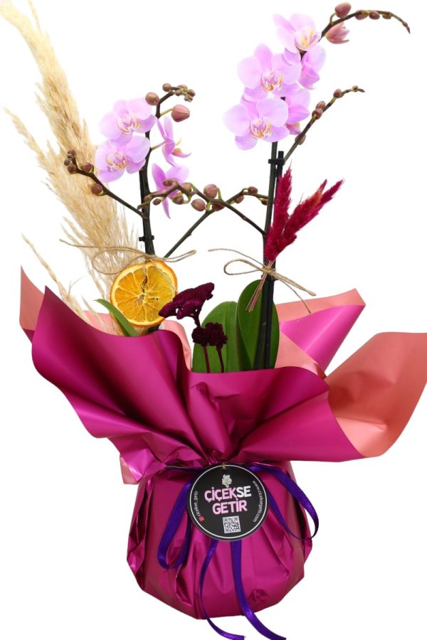 1054=Midi Soft Purple Orchid Gift (Orkide) - Image 2